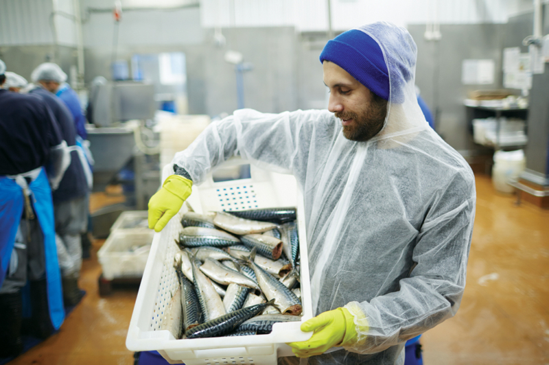 Stokes Fish Processor Cuts Cost and Improves Safety PathoSans